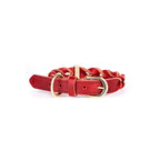 Collar de Cuero Ascot