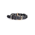 collar de cuero ascot