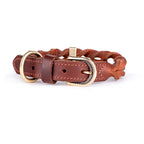 Collar de Cuero Ascot