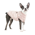 Puppia Torchy