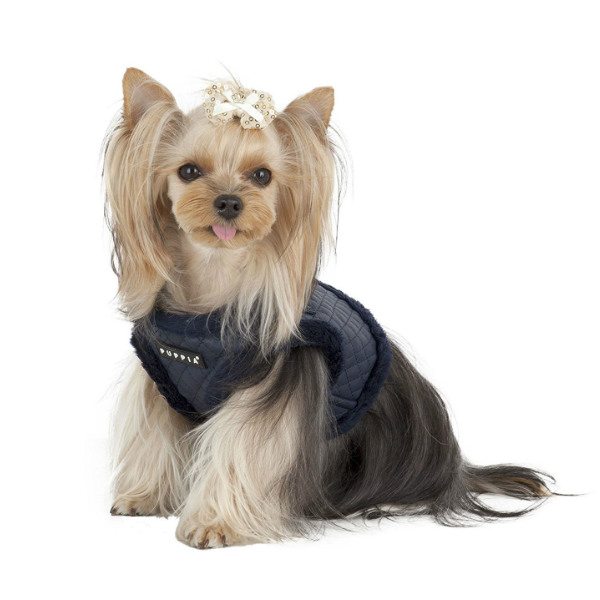 Farren Harness B Puppia