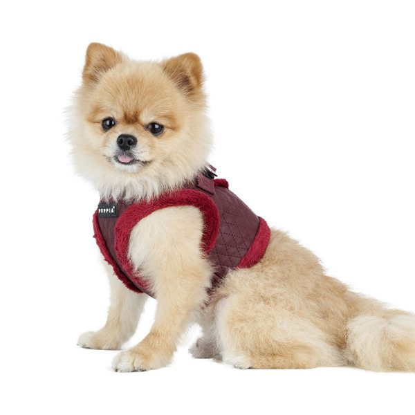Farren Harness B Puppia