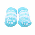 Dolce Puppia Socks