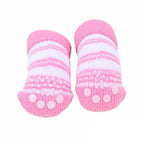 Dolce Puppia Socks