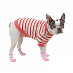 Dolce Puppia Socks