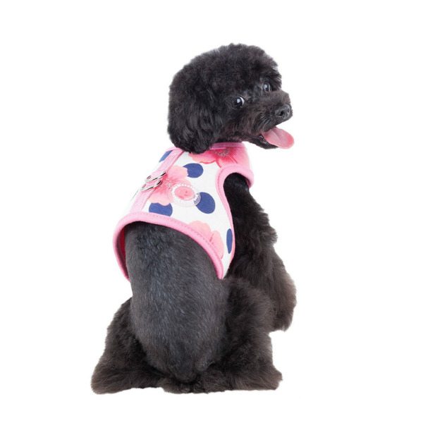 Peonies Pinka Harness