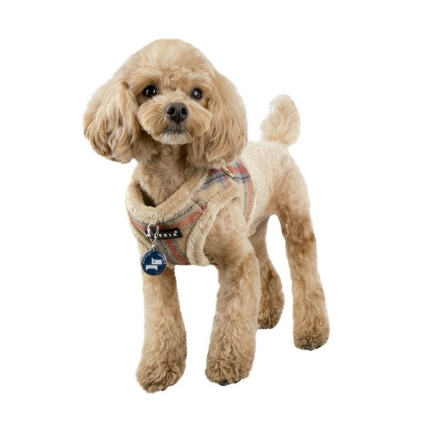 Kemp Harness B Puppia, arnés para perro