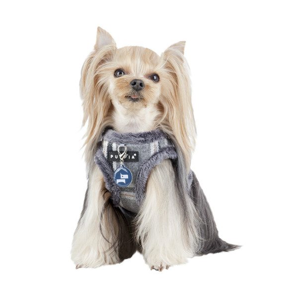 Kemp Harness B Puppia, arnés para perro
