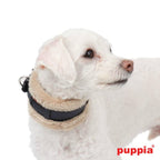 Collar para Perro acolchado Spunky Puppia