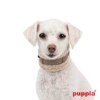 Collar para Perro acolchado Spunky Puppia