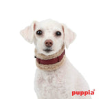 Collar para Perro acolchado Spunky Puppia