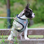 Arnés para Perro Bobby Tipo A Puppia