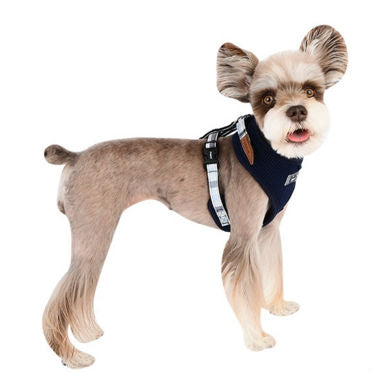 Neil Superior Harness A Puppia