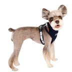 Neil Superior Harness A Puppia