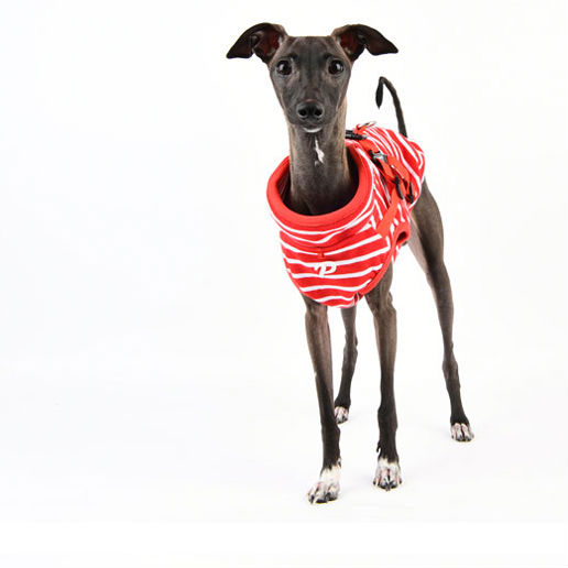 Chaqueta con arnés Clancy Puppia