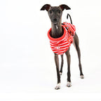 Chaqueta con arnés Clancy Puppia