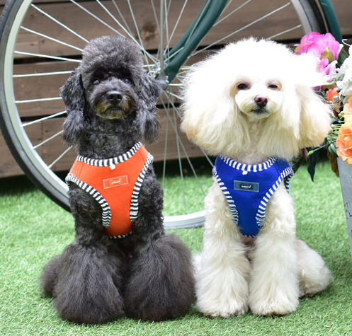 Naunet Harness B Puppia