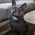 Jersey para Perro Classic Dark Graphite Sweater Wooldog