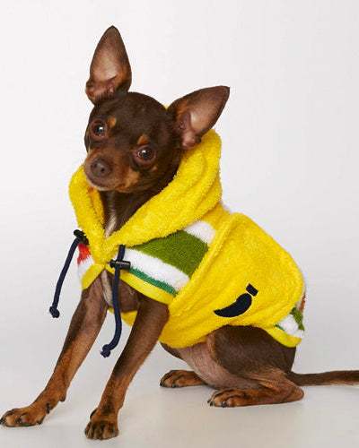 Albornoz para perro multicolor Peggy | ARISTOPET