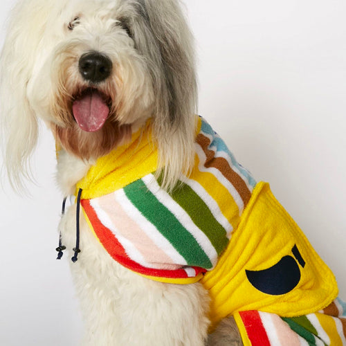 Albornoz para perro multicolor Peggy | ARISTOPET