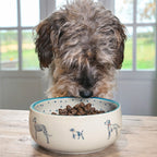 Comedero de gres para mascotas Fetch Sophie Allport | ARISTOPET
