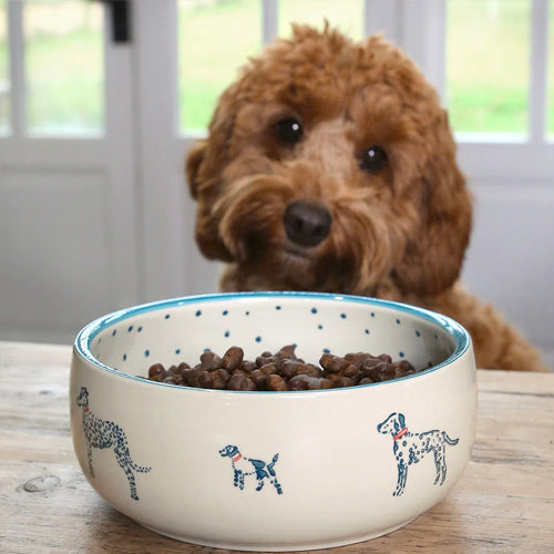Comedero de gres para mascotas Fetch Sophie Allport | ARISTOPET