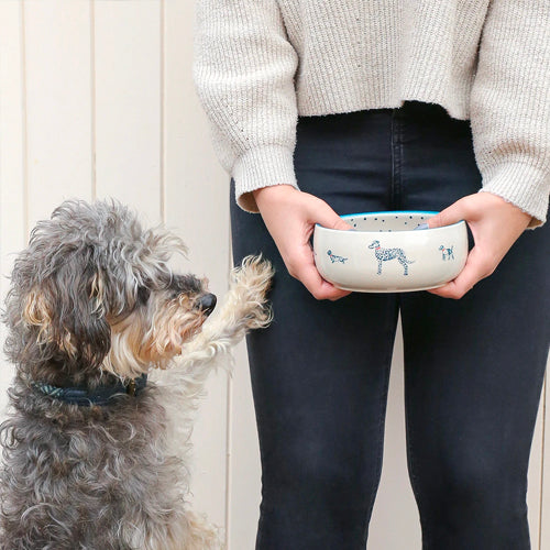 Comedero de gres para mascotas Fetch Sophie Allport | ARISTOPET