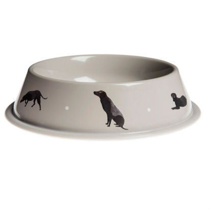 Comedero Labrador Pet Bowl Sophie Allport
