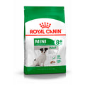 MINI ADULT 8+ ROYAL CANIN