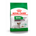 MINI AGEING 12+ Royal Canin