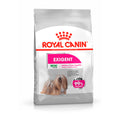 PIENSO MINI EXIGENT Royal Canin