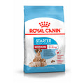 MEDIUM STARTER Royal Canin