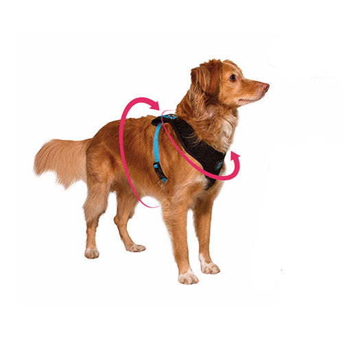 Arnés para Perro Air Mesh Memphis Zeedog