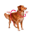 Arnés para Perro H Memphis Zeedog