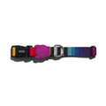 Collar para Perro Prisma Zeedog