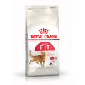 pienso para gato fit royal Canin