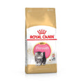 Royal Canin Persian Kitten