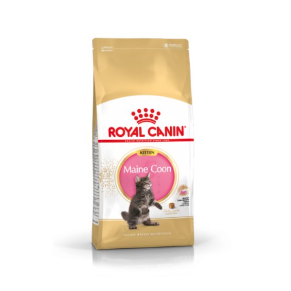 Royal Canin Maine Coon Kitten