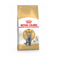 Royal Canin British Shorthair