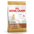 Labrador Retriever Junior Royal Canin