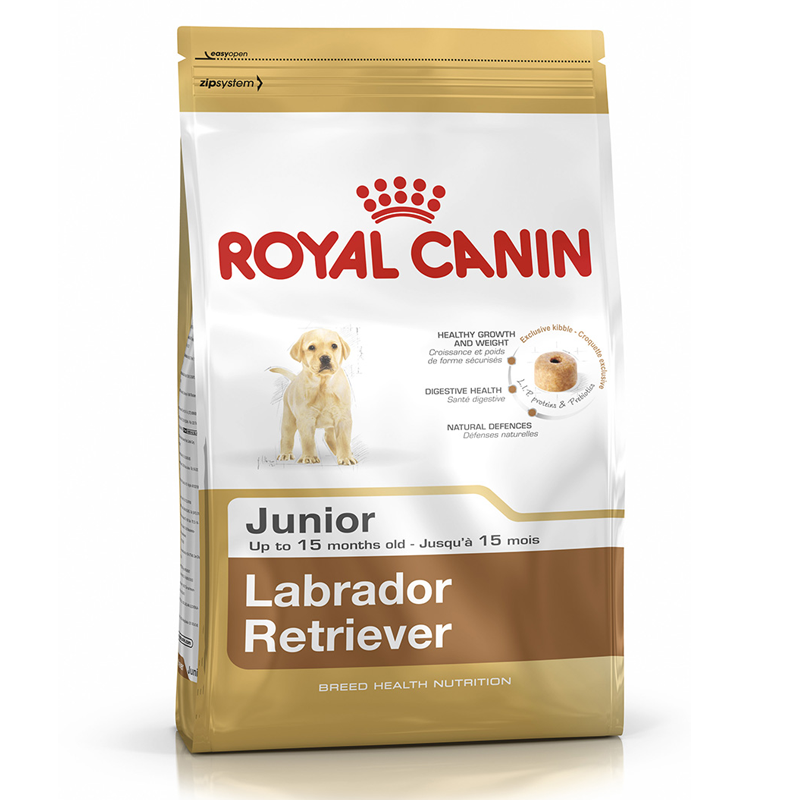 Labrador Retriever Junior Royal Canin