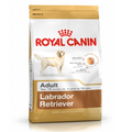 Labrador Retriever Adult Royal Canin