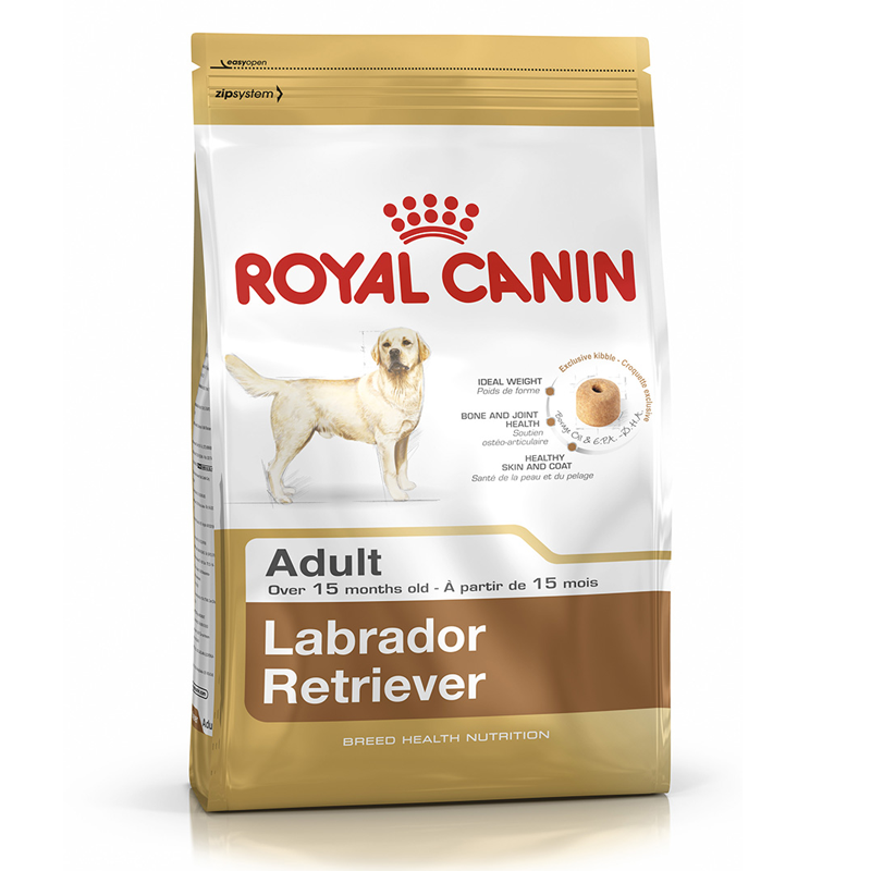 Labrador Retriever Adult Royal Canin