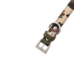 Collar y correa para perro Camuflaje