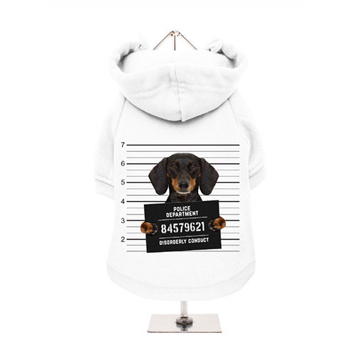 Sudadera para Perro Dachshund Mugshot