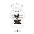 Sudadera para Perro Boston Terrier Mugshot