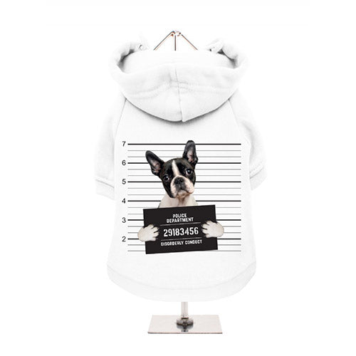 Sudadera para Perro Boston Terrier Mugshot