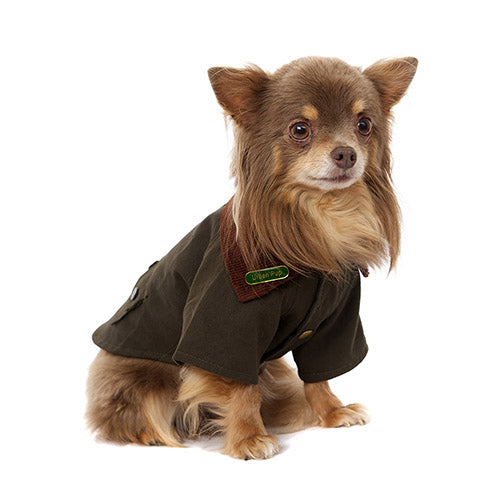 Abrigo para Perro Urban Pop Town & Country Jacket
