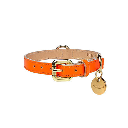 Collar para Perro de Cuero Naranja Neón