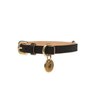 Collar para Perro de Cuero Negro Classic